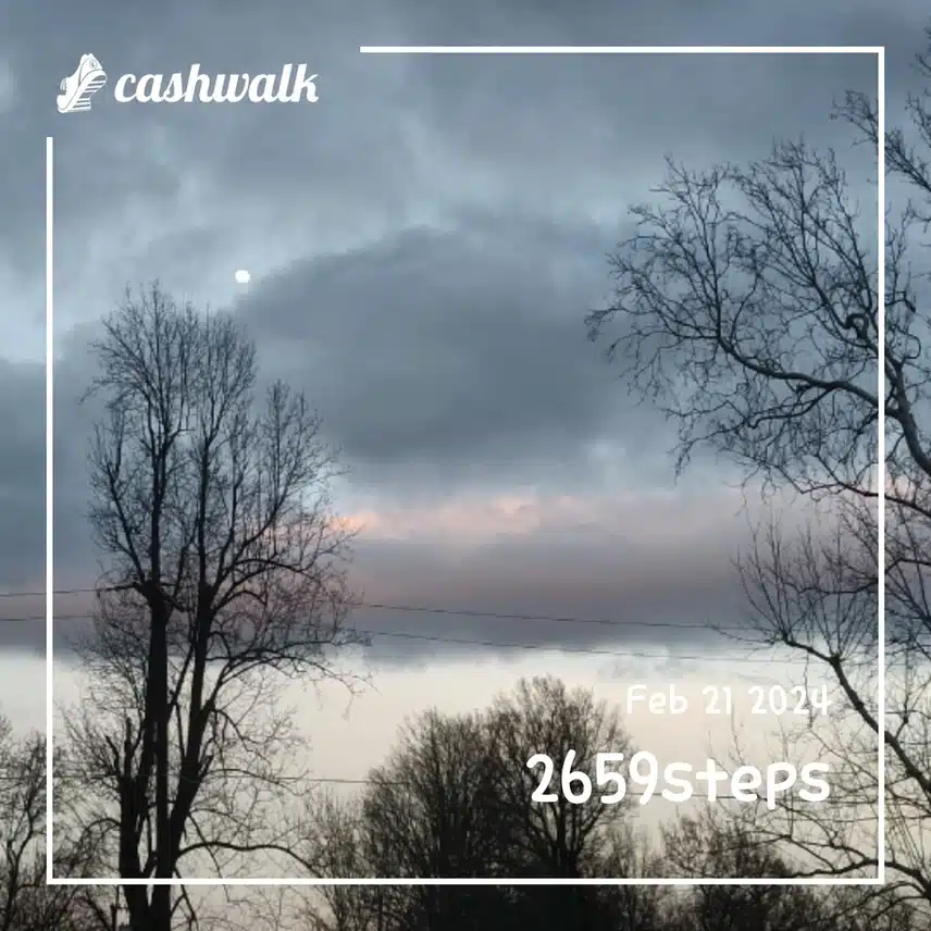 CashWalk_share_capture_20240221_fdf0b944-7b5f-425a-ab54-272f6ca2