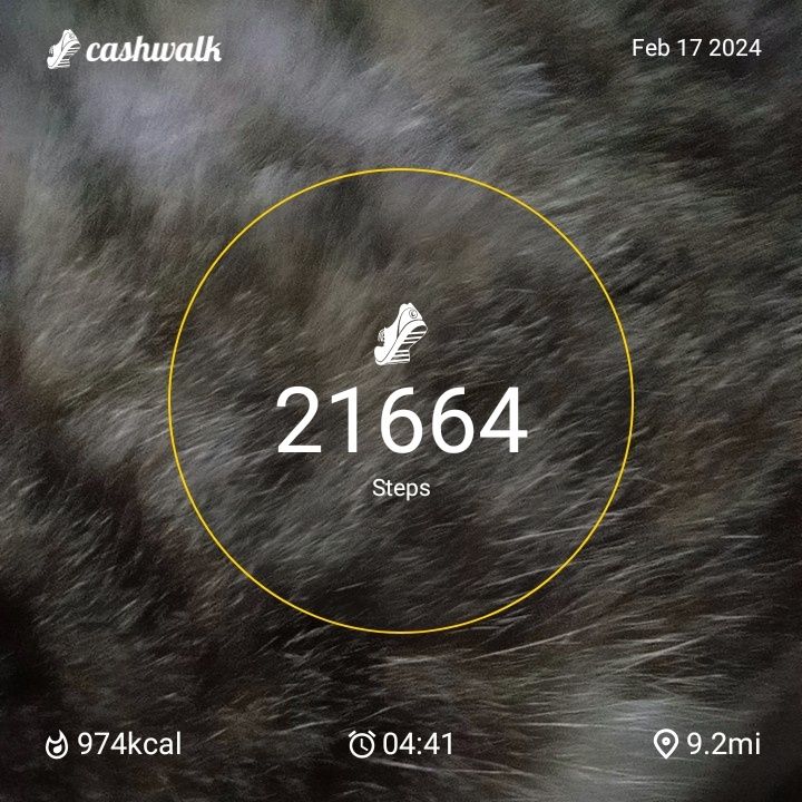 CashWalk_share_capture_20240217_500d3d98-90a4-45dc-acae-f6e24d79