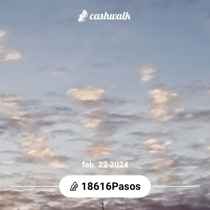 CashWalk_share_capture_20240222_b35ebeaf-7e58-4fa4-81dc-7e274679