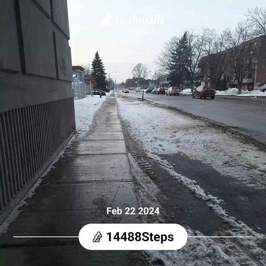 1000001675.jpg_resize