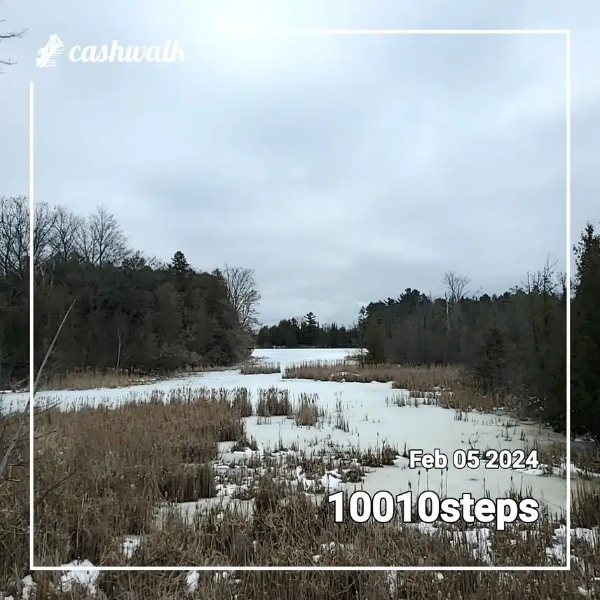 CashWalk_share_capture_20240205_c68a856d-11e4-4565-b685-6cfddadd