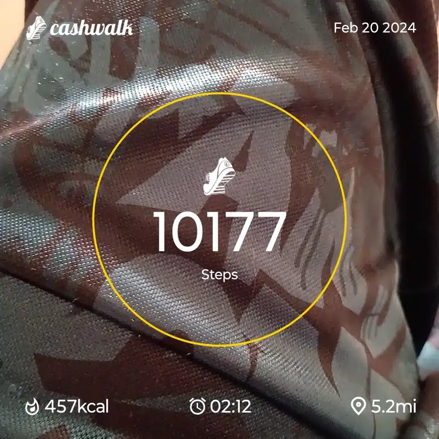CashWalk_share_capture_20240220_85d9f816-8e41-4da4-b9ec-0ef80a24