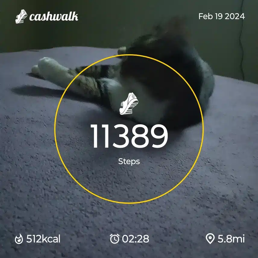 CashWalk_share_capture_20240219_6d27c6ff-f366-4115-99e9-49cb53b7