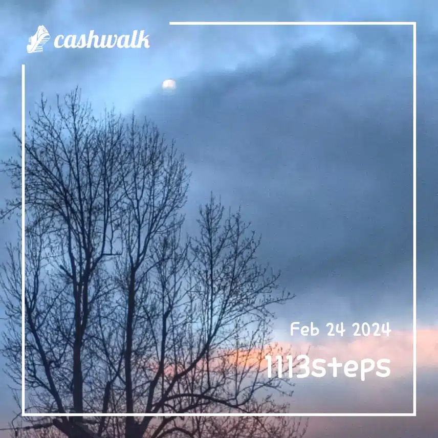 CashWalk_share_capture_20240224_fb0368df-db02-4f77-bf7f-2d4a7672