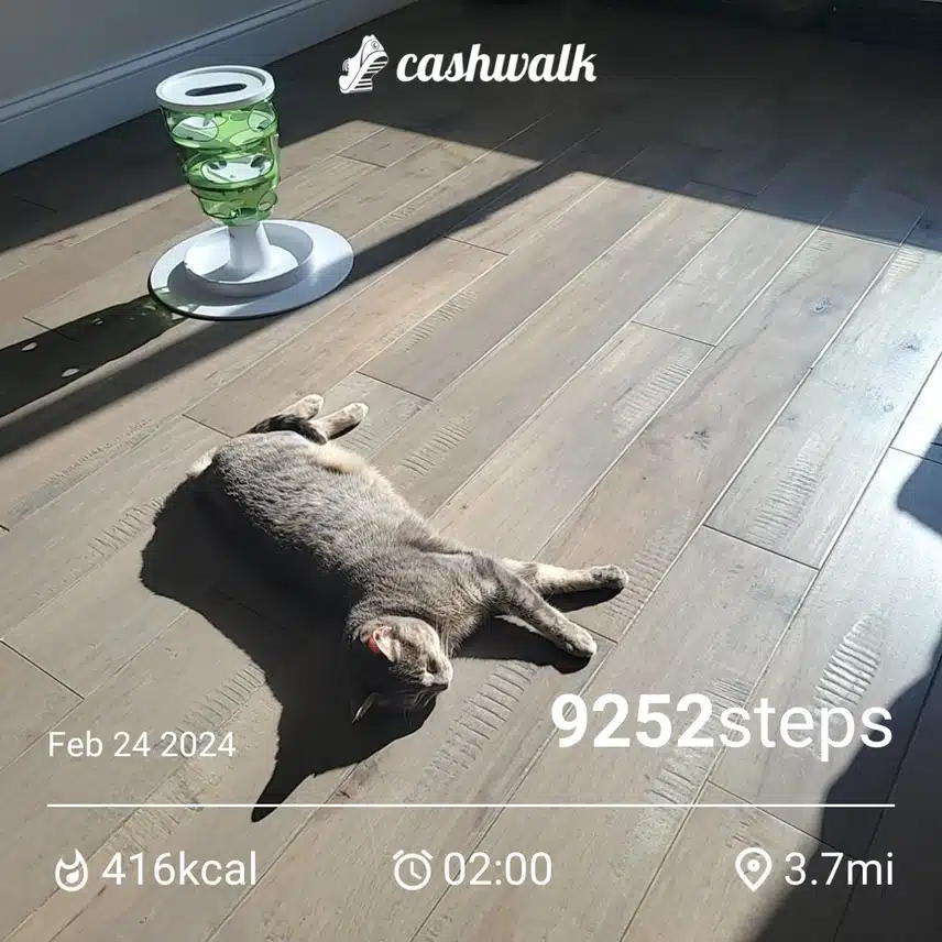CashWalk_share_capture_20240224_de6d1a03-382b-4472-ab3d-efc0f902