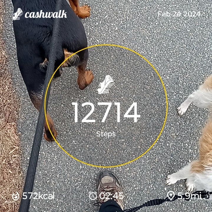 CashWalk_share_capture_20240224_82366102-21c3-4128-b521-feb1a1fe