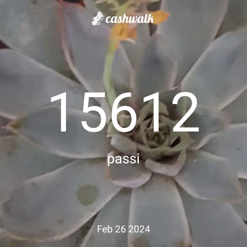 CashWalk_share_capture_20240226_e1511852-62f2-4133-8ccf-90588b18