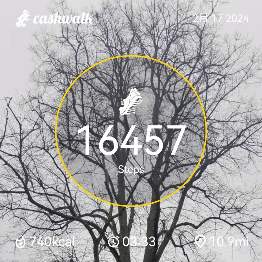 CashWalk_share_capture_20240217_6b560da6-5e57-4b43-9cf6-c24ee301