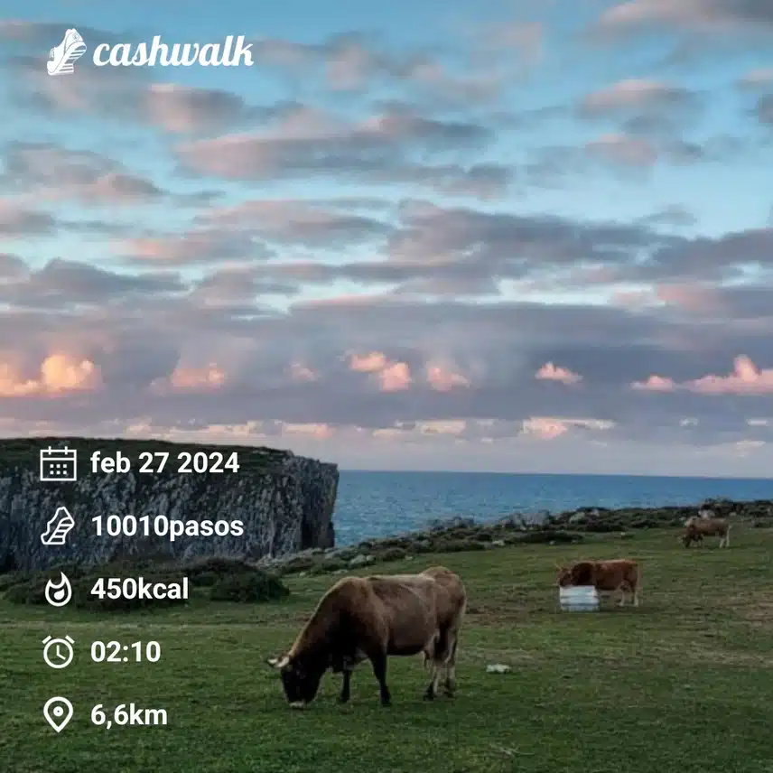 CashWalk_share_capture_20240227_47e665d9-7f0c-4a08-81f6-15ddbd8f
