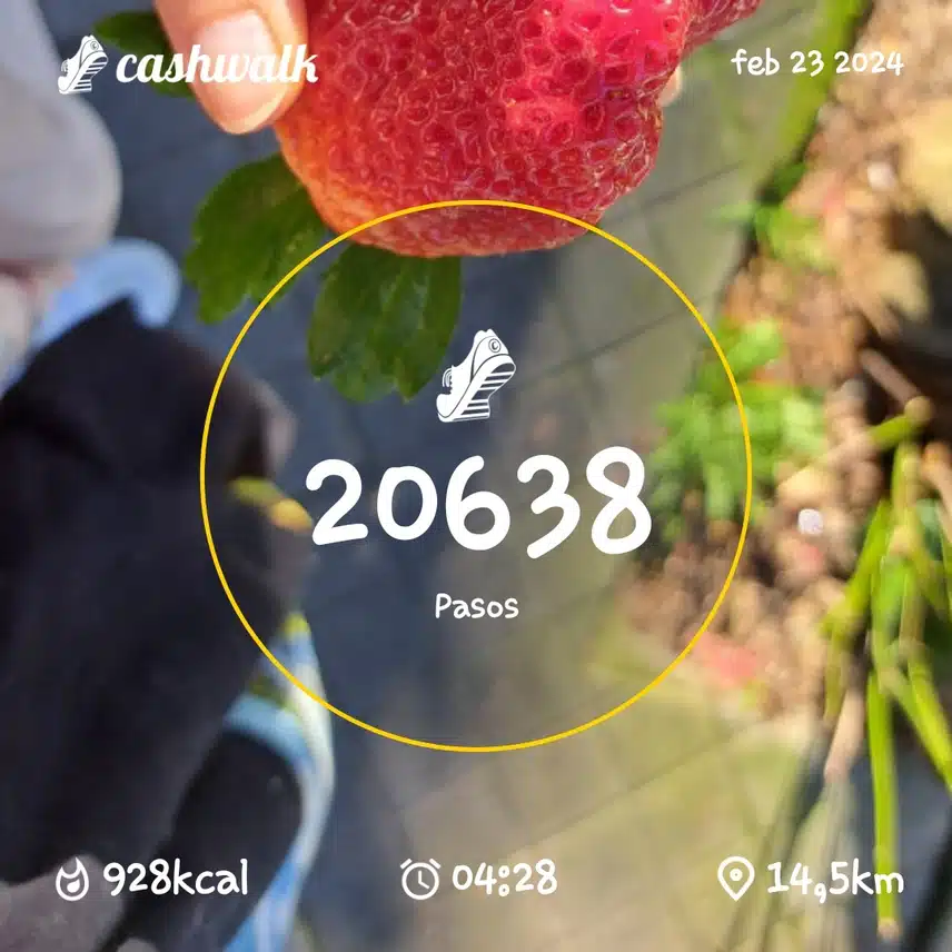 1000086508.jpg_resize