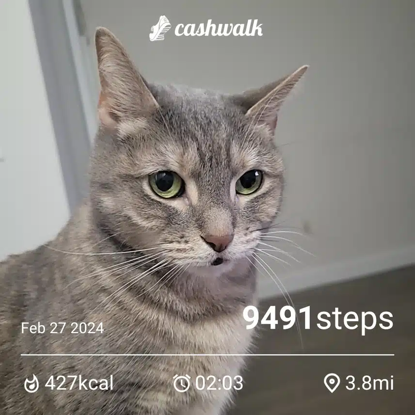 CashWalk_share_capture_20240227_044b5a25-42dd-40bd-893d-e10f787b