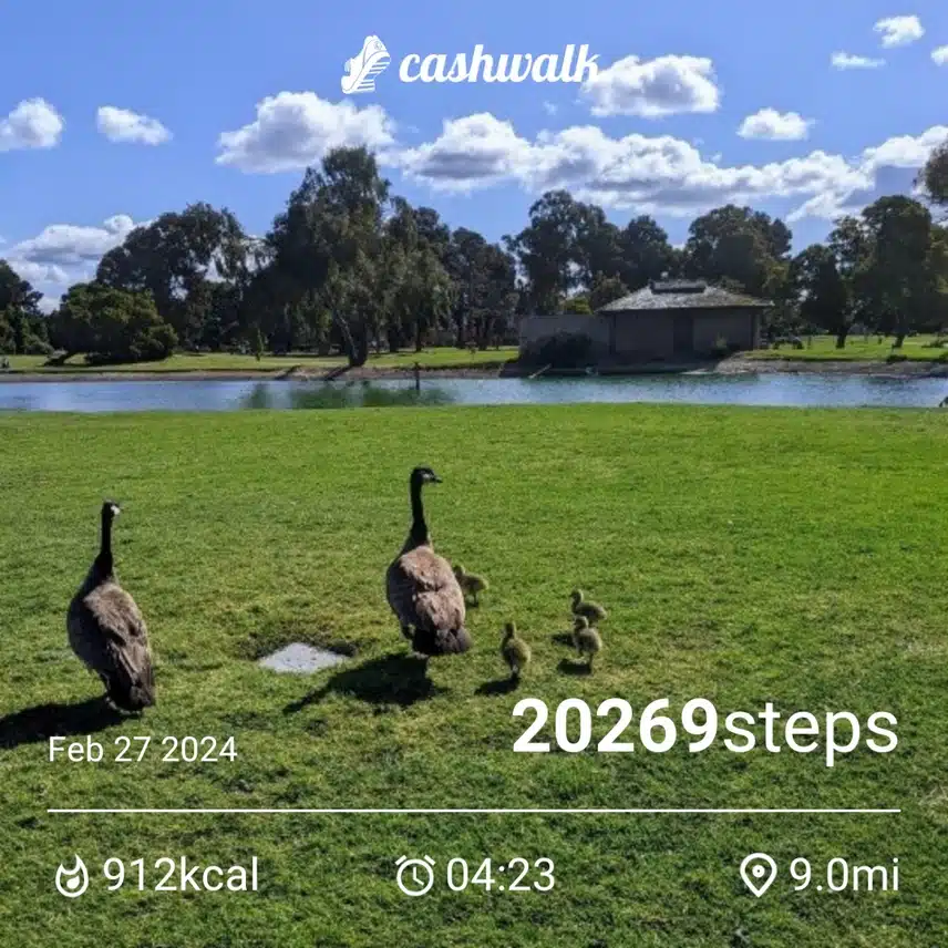 CashWalk_share_capture_20240227_787df0d3-f9e2-466c-8a42-f0ade28d