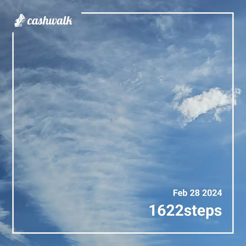 1000062638.jpg_resize