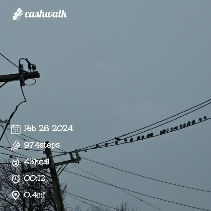 1000070663.jpg_resize