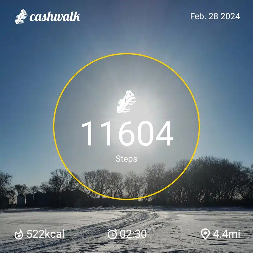 CashWalk_share_capture_20240228_6a4cf5be-b2c7-49f9-9805-8a069748
