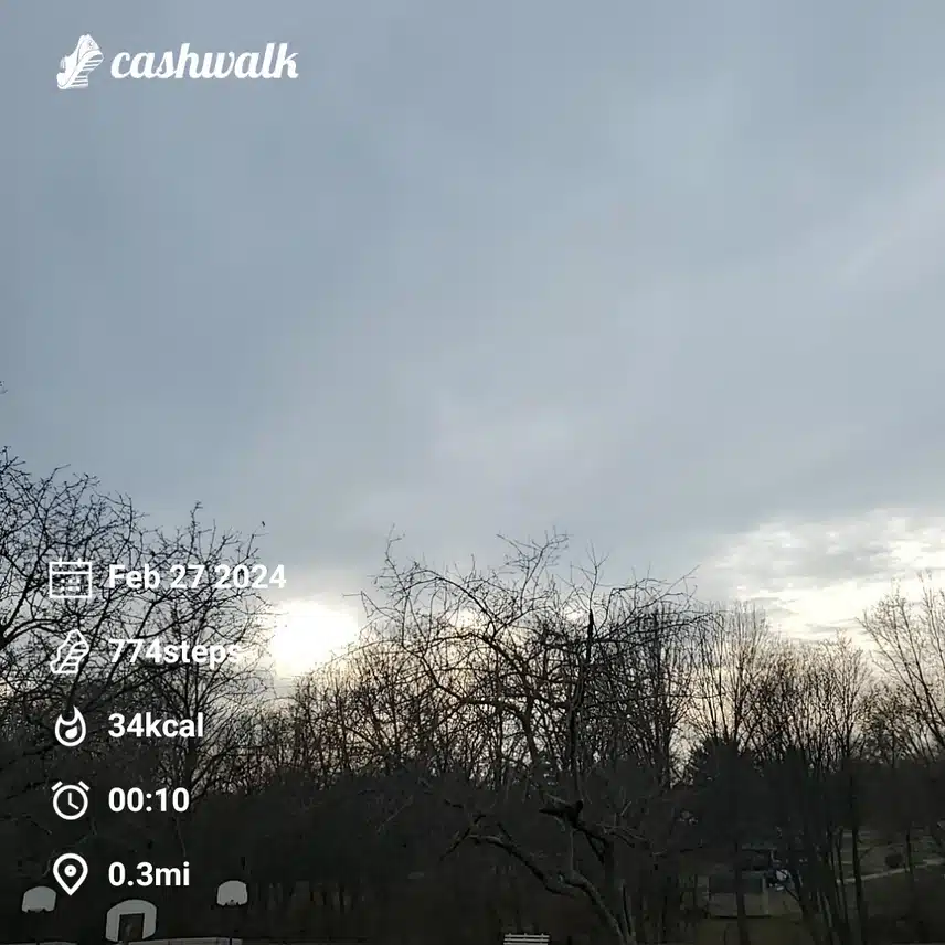 CashWalk_share_capture_20240227_f8bdcd39-d43d-4e10-8bfa-49663a04