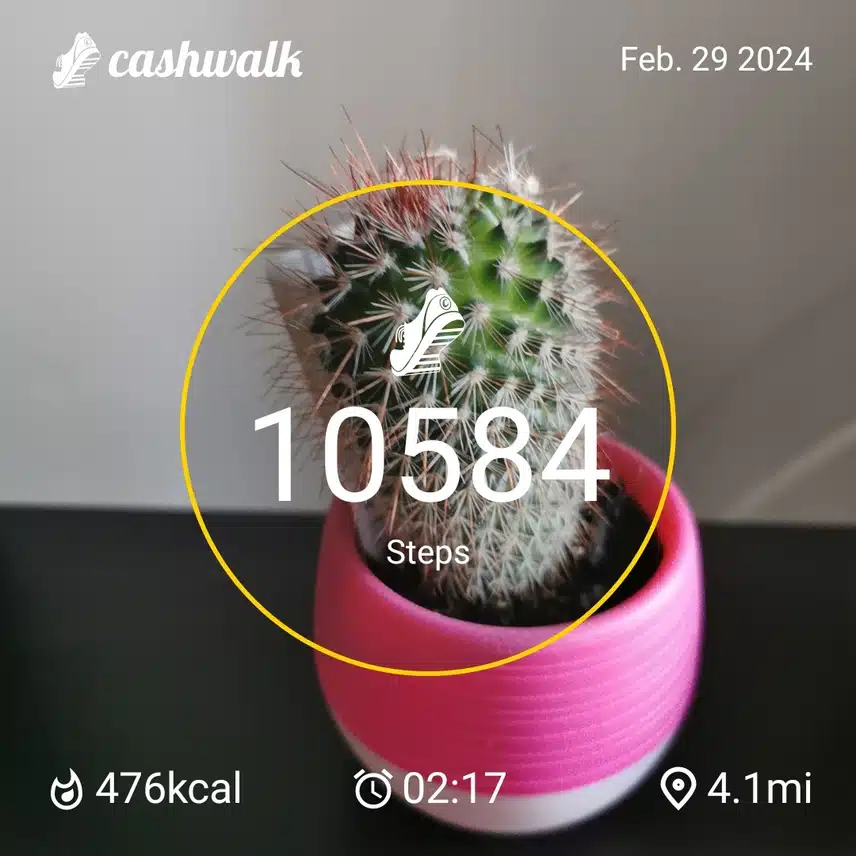 CashWalk_share_capture_20240229_1095e0cb-e78f-4c36-bd0d-3dace46e