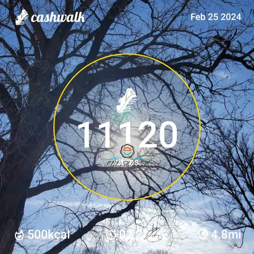 CashWalk_share_capture_20240225_a09cf41d-2adb-4b3b-8798-23b28bbc
