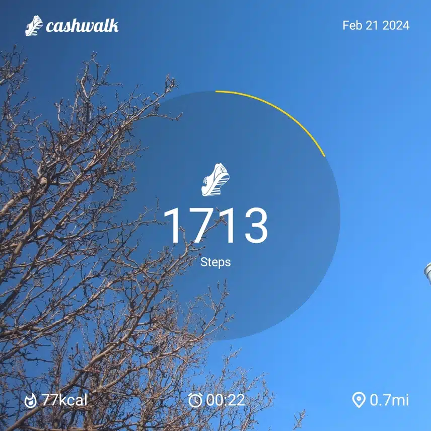 1000005806.jpg_resize