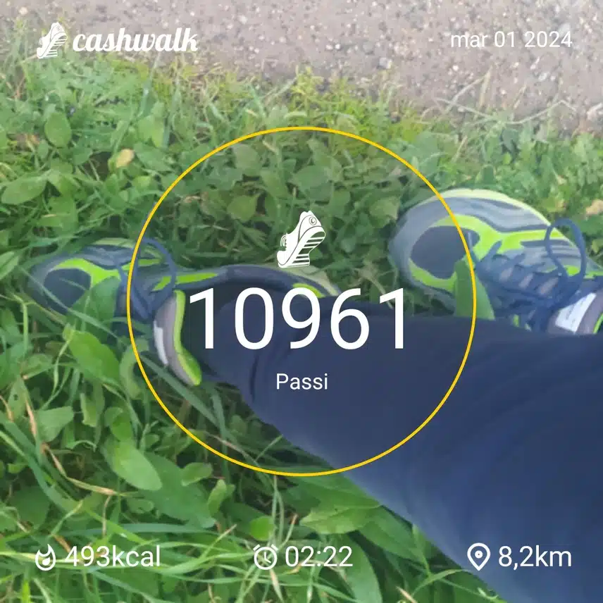 CashWalk_share_capture_20240301_88291f76-43a8-46c3-aaa1-5d6e46e8