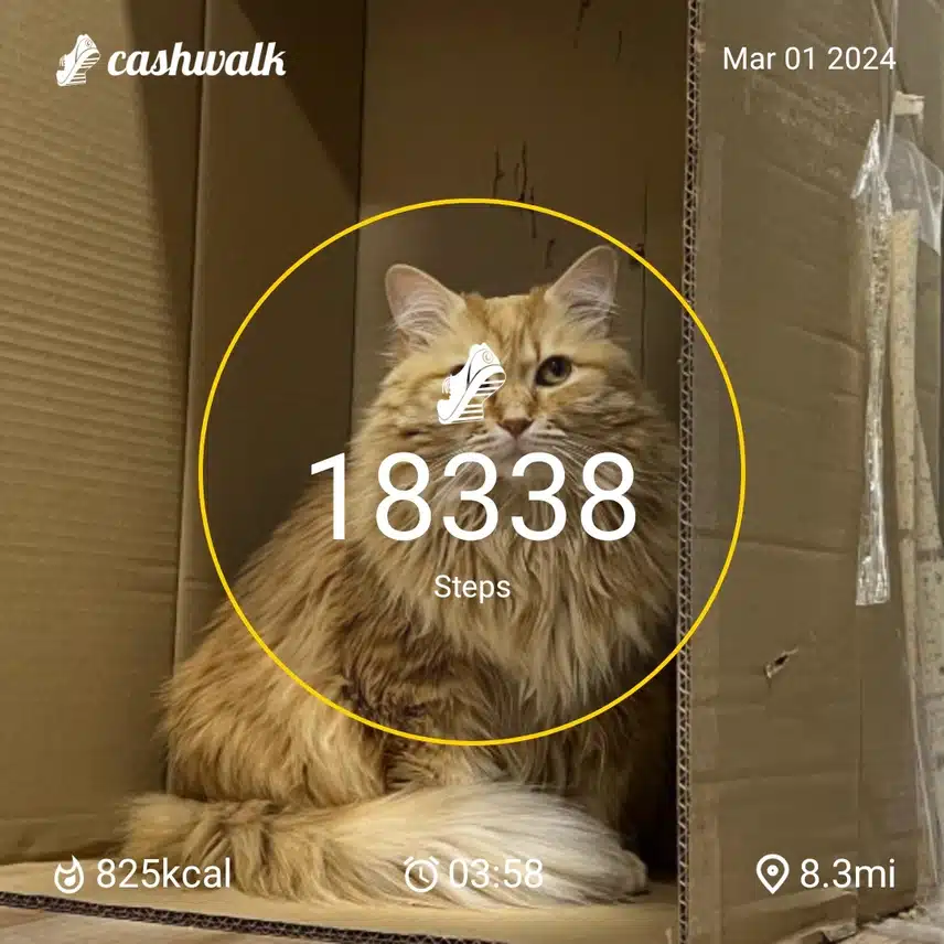 CashWalk_share_capture_20240301_8b47b5d6-8156-4a0d-ba63-a0252b23