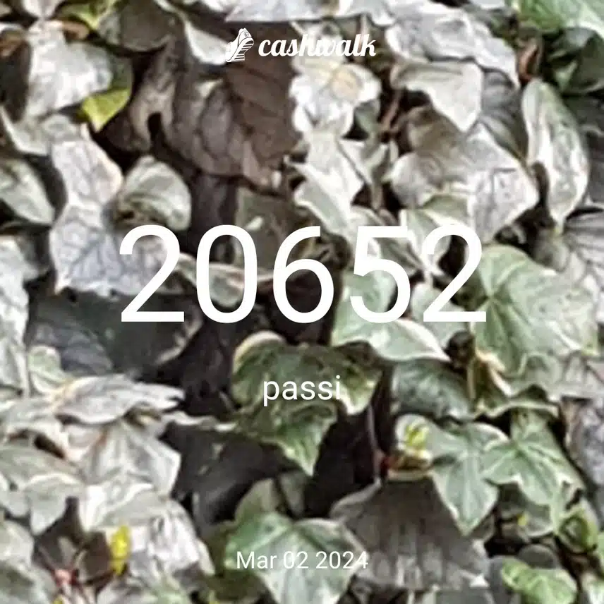 CashWalk_share_capture_20240302_9cd4da6d-dd5e-47d5-93a4-5d92c7e1