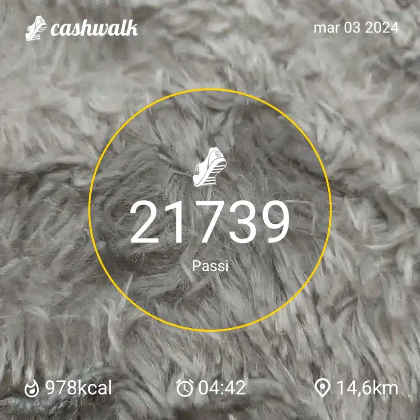 CashWalk_share_capture_20240303_93ee92f9-5725-40e1-996e-73babc90