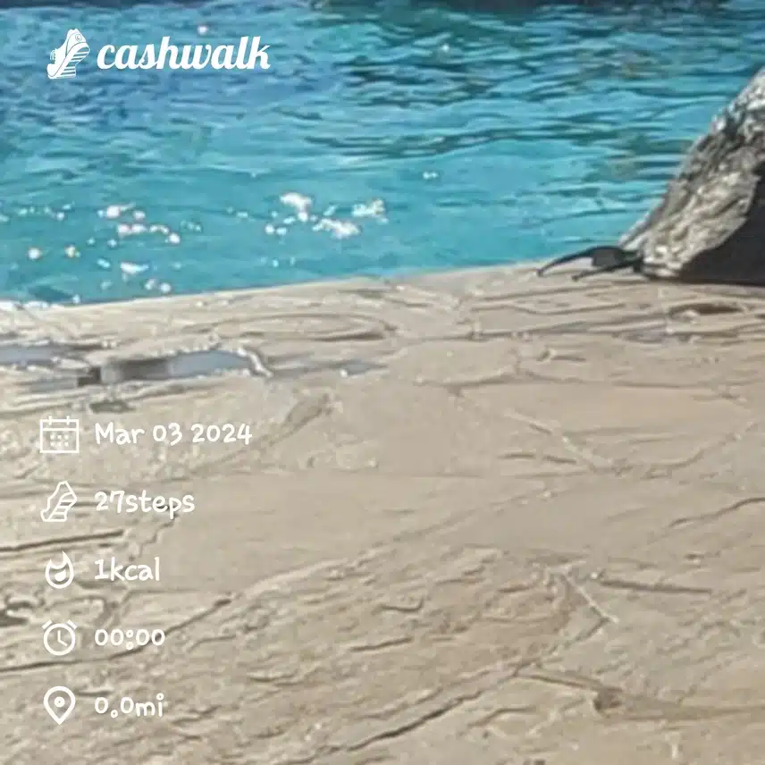 CashWalk_share_capture_20240303_d252a4e0-2722-445f-8bf6-7e3a1212
