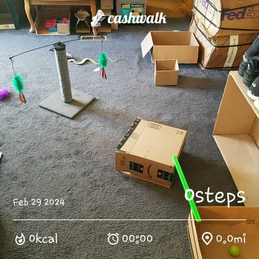 CashWalk_share_capture_20240229_3876d93c-9fbb-43d2-811d-7947ece4