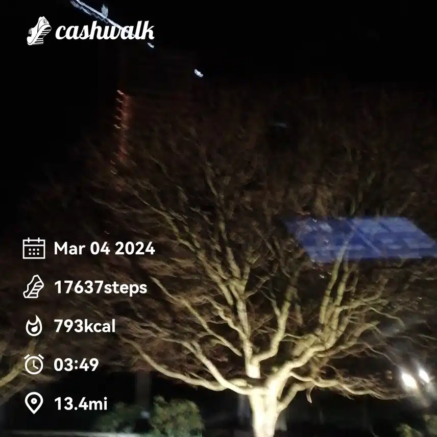 CashWalk_share_capture_20240304_d00b8901-71ce-411a-ad34-1d266a65