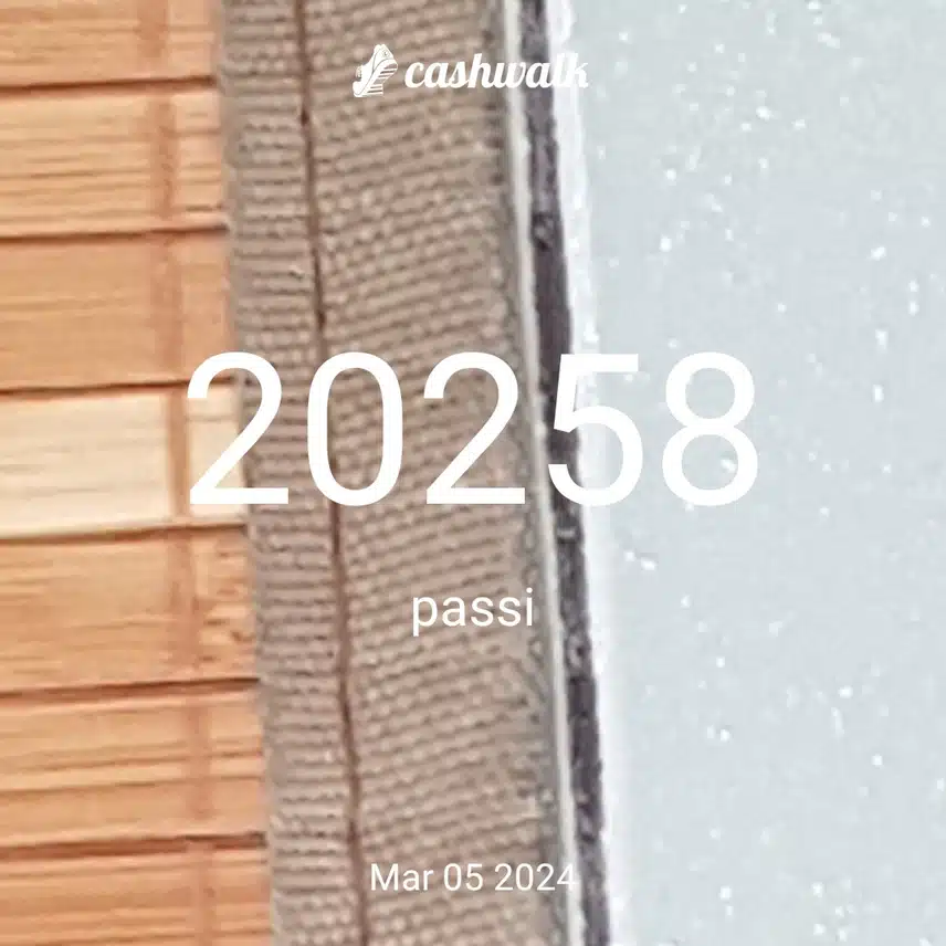 CashWalk_share_capture_20240305_9f0a83dd-02a6-455a-9f31-e9920078