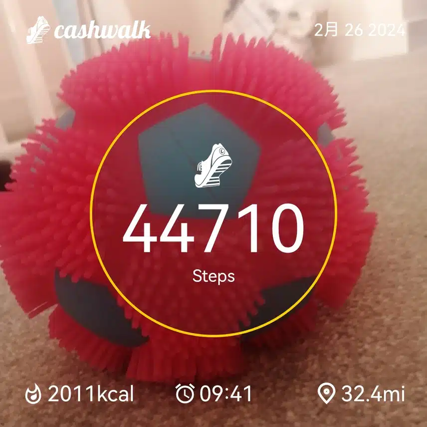 CashWalk_share_capture_20240226_54292267-d104-4b0d-81b8-92671f80