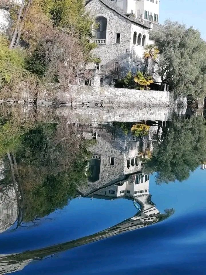 1000000477.jpg