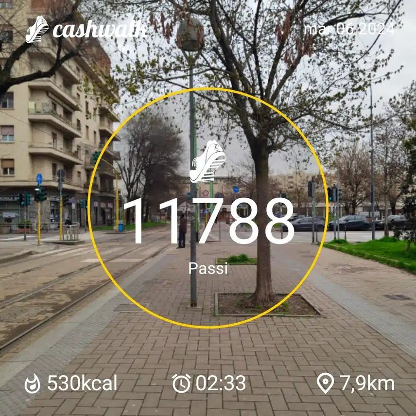 CashWalk_share_capture_20240306_ae66c91c-17ce-4864-972c-5acc313f