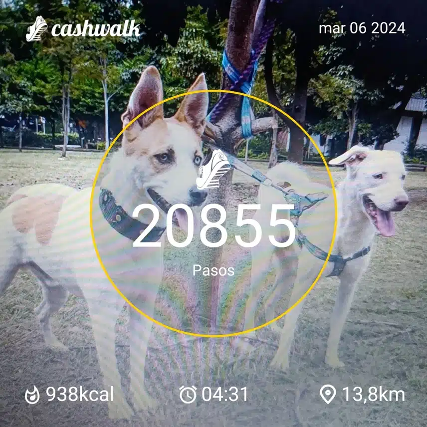 CashWalk_share_capture_20240306_ac76f43c-39cd-4dd8-8c04-b3caa694