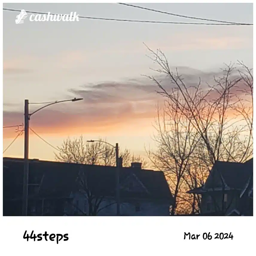 CashWalk_share_capture_20240306_61bc4899-725b-4a6a-bc98-8617980c