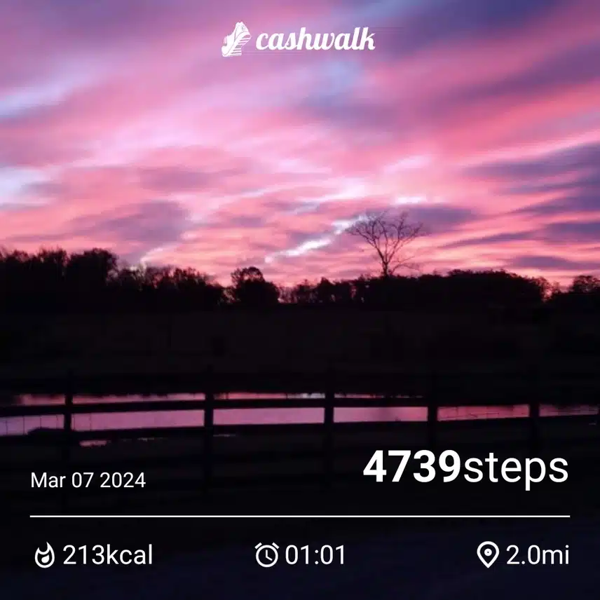 CashWalk_share_capture_20240307_43fe9168-bfdf-407f-ad58-87db2f99
