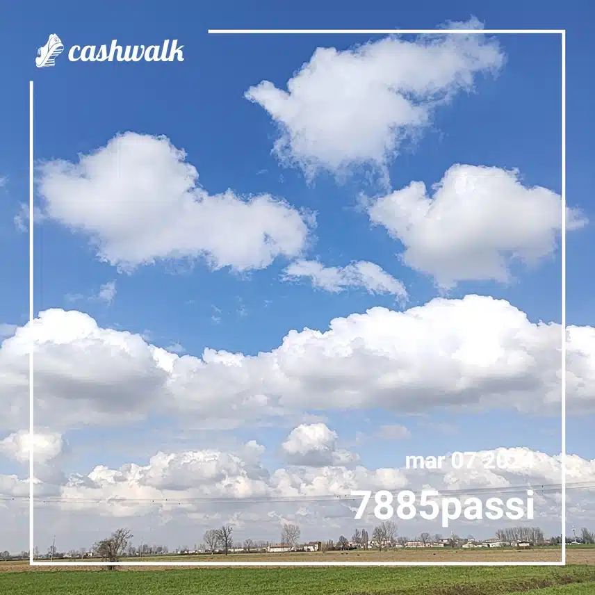 CashWalk_share_capture_20240307_85401012-7224-4a41-86c7-c546bf2d