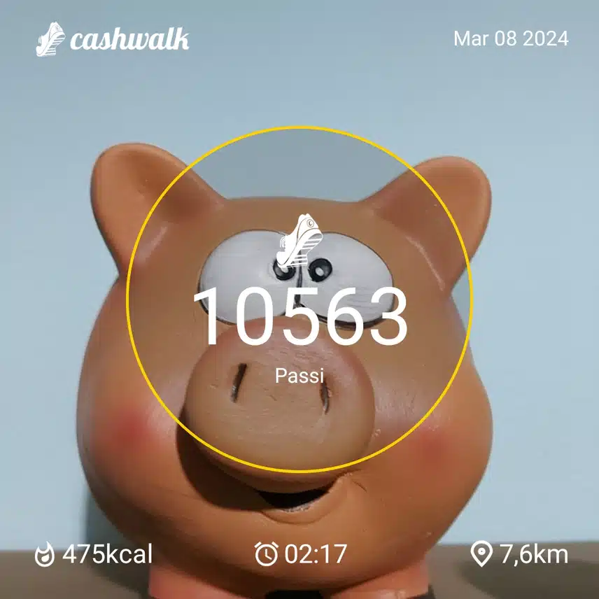 1000052466.jpg