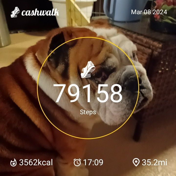 CashWalk_share_capture_20240308_f8391d91-785c-48e6-8fcf-94c15c3f