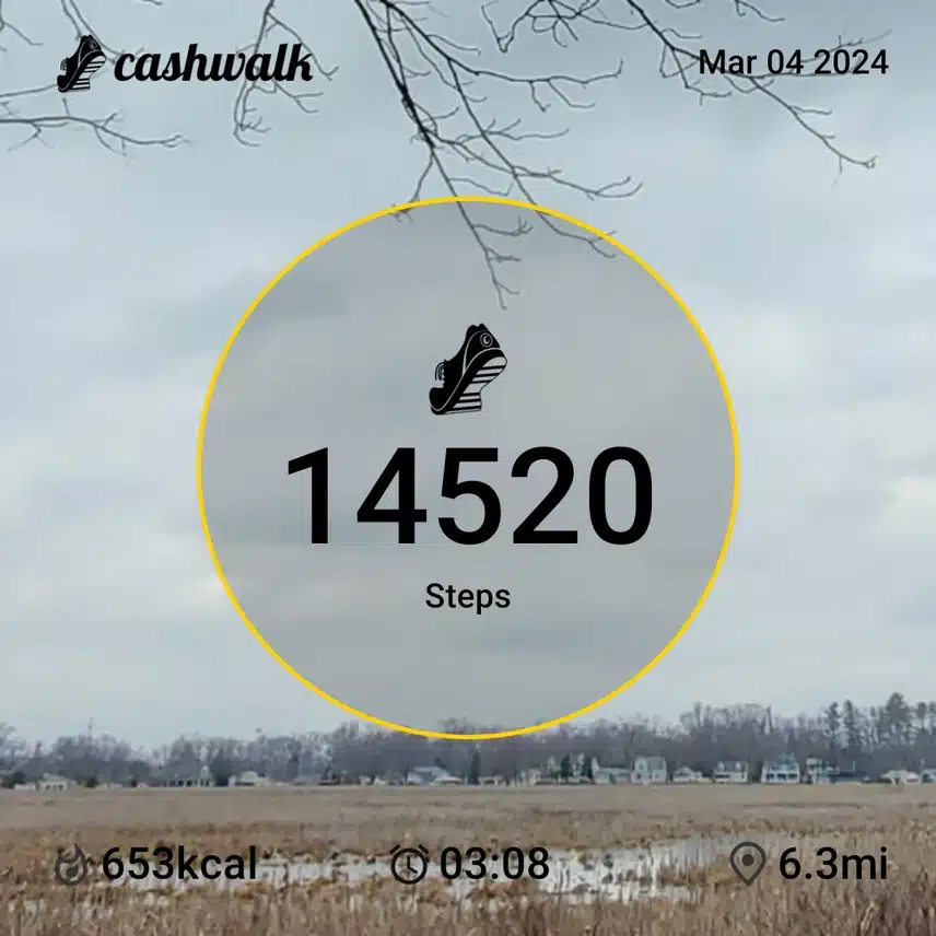 CashWalk_share_capture_20240304_21ab2fa7-b44f-4a28-8b29-2a5b86a2