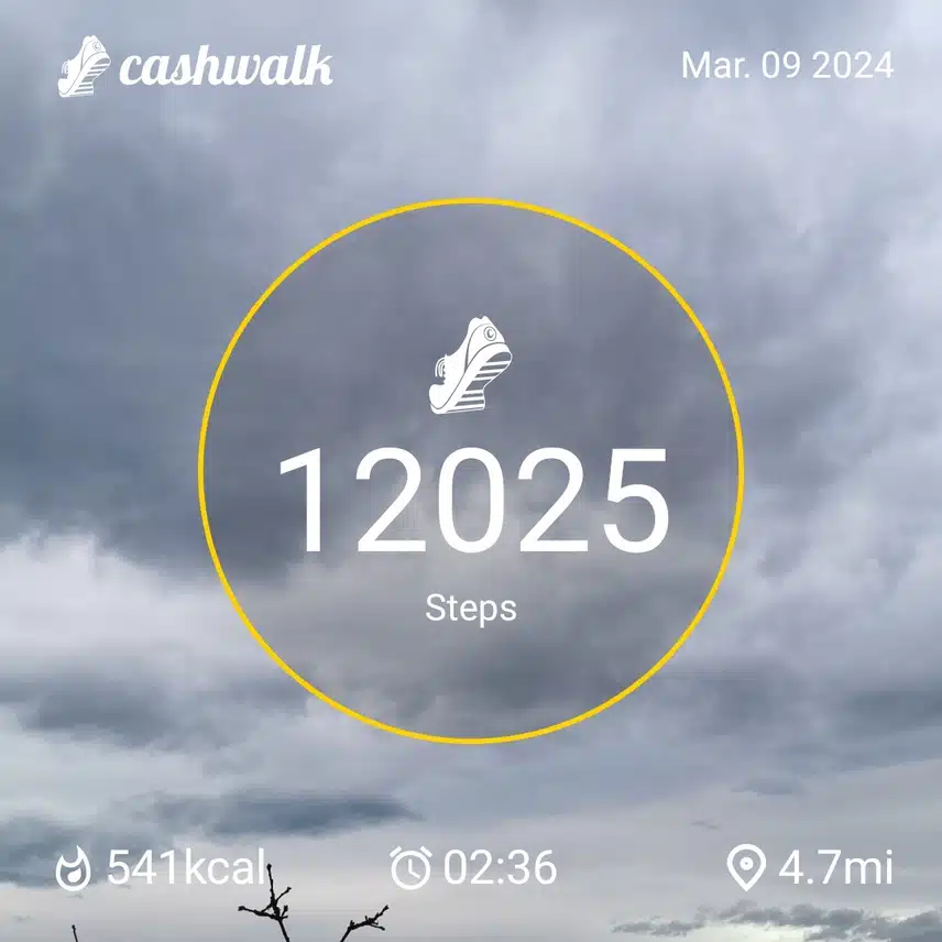 CashWalk_share_capture_20240309_5a04930b-a224-406f-a4d1-936ed424