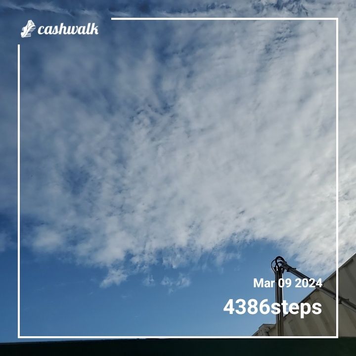 CashWalk_share_capture_20240309_573bb91a-f0bc-4693-b68e-47d8c6a5