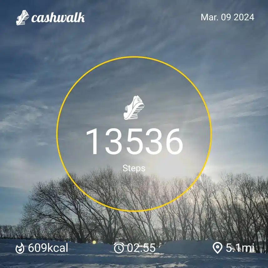 CashWalk_share_capture_20240309_1908e82a-387c-4025-a33b-6919e2d9