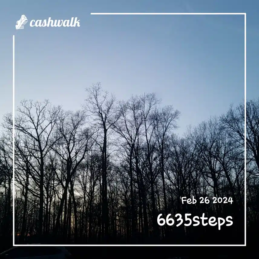 CashWalk_share_capture_20240226_b2a4acf4-c87a-45af-954e-7903b82f