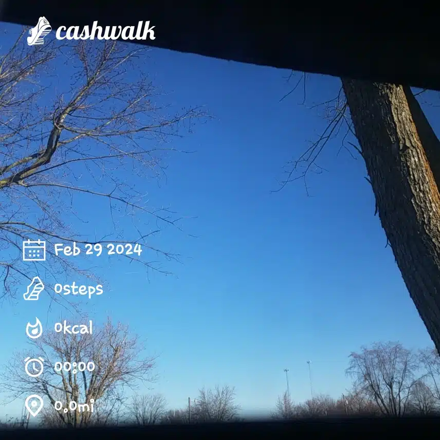 CashWalk_share_capture_20240229_d3cd7285-04e9-4a7d-8a73-80b30f61
