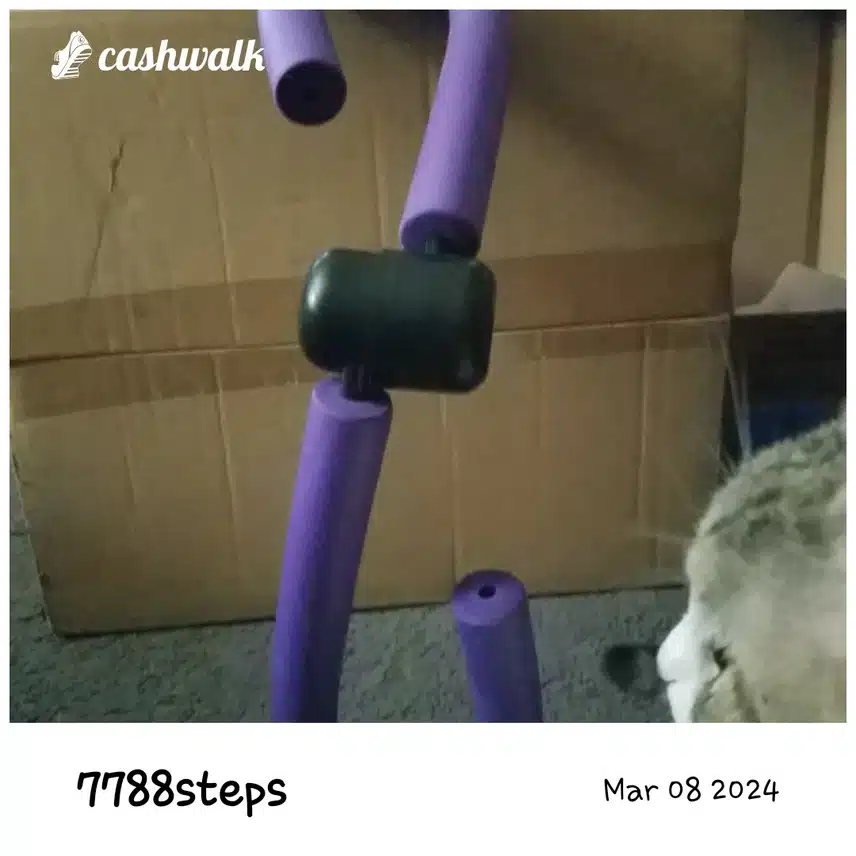 CashWalk_share_capture_20240308_a95c34c2-6f75-4e04-adc4-43db39c7