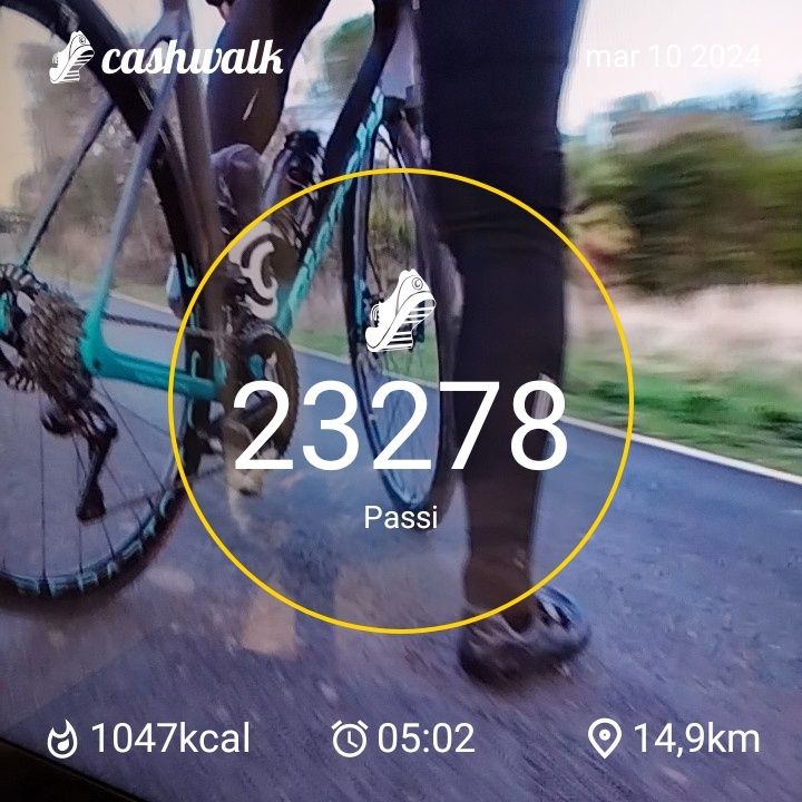 CashWalk_share_capture_20240310_9d75a464-0452-4c99-ada9-a6742eb9