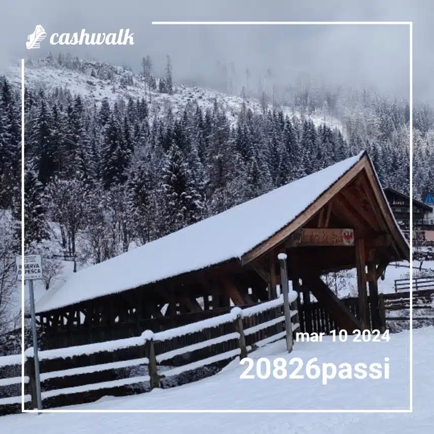 CashWalk_share_capture_20240310_2d3b9165-2e6d-49bf-8624-b06b009f