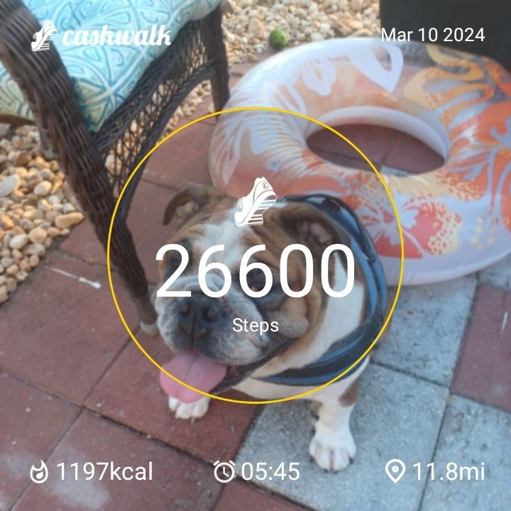 CashWalk_share_capture_20240310_de78e33f-e145-4b2a-be87-6228bdd5